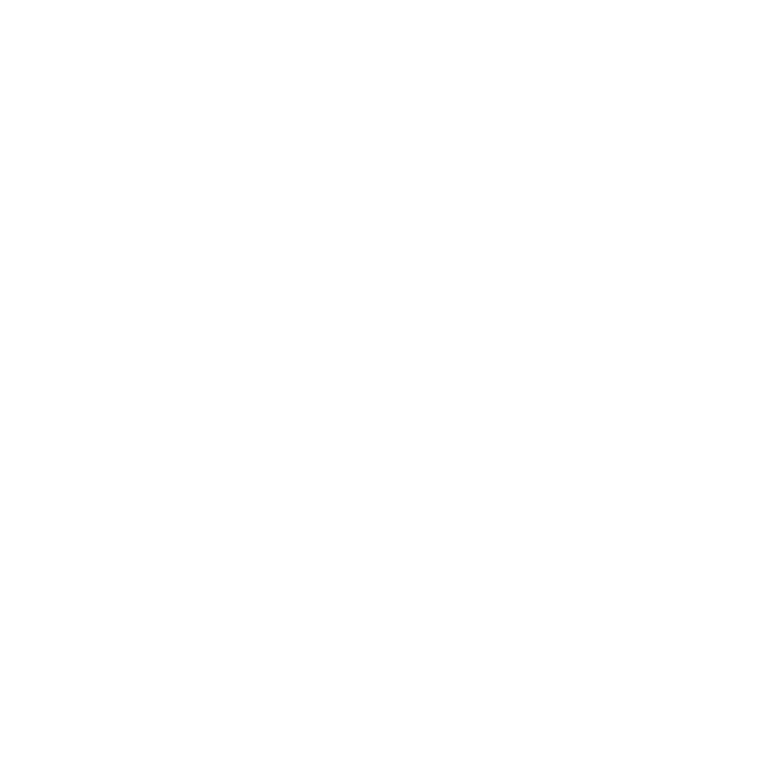 Vrachtwagen Wit