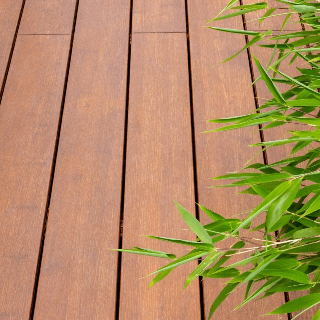 Moso Bamboo N-durance